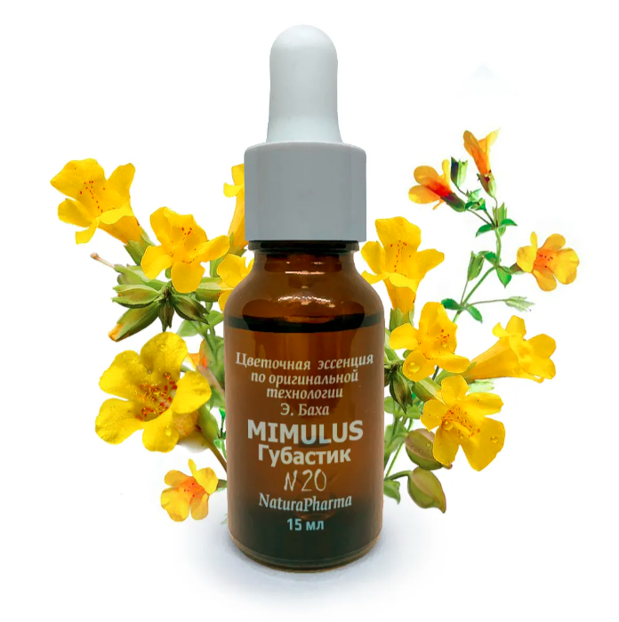 Цветочные эссенции Баха №20 Mimulus Губастик 