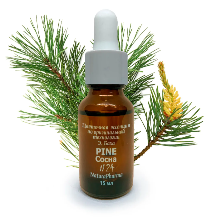 Цветочные эссенции Баха №24 Pine Сосна 