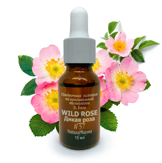  Цветочные эссенции Баха №37 Wild rose Дикая роза 