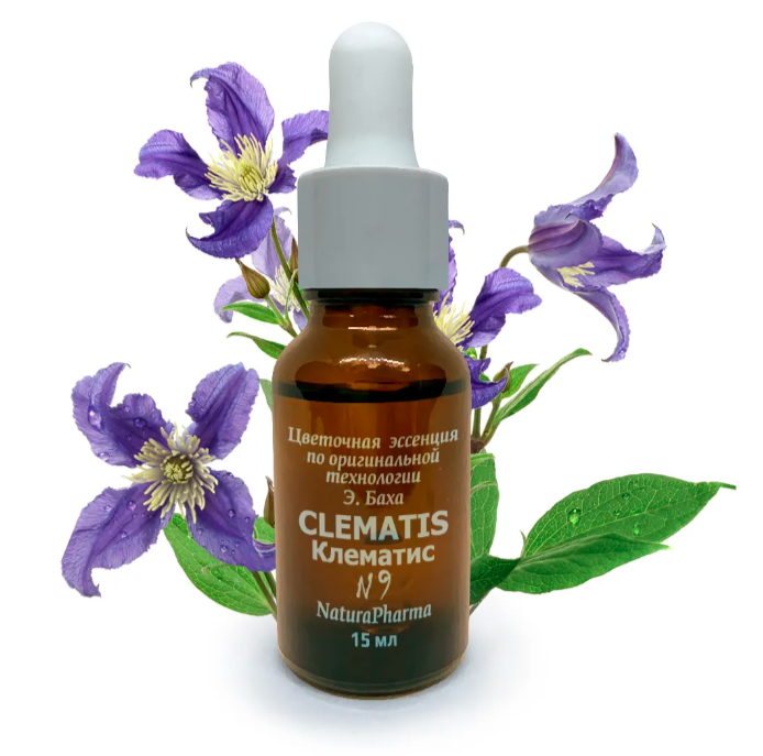 Цветочная эссенция Баха №9 Clematis Клематис 