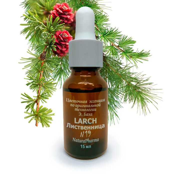 Цветочные эссенции Баха №19 Larch Лиственница 